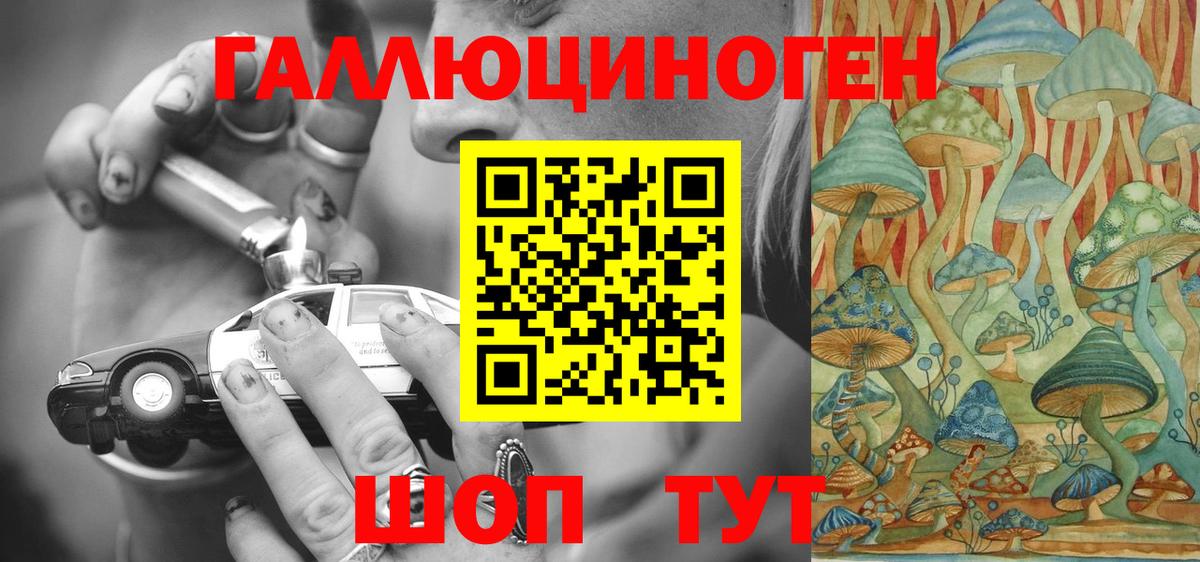 Псилоцибиновые грибы мицелий Курчатов