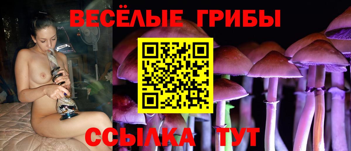 Галлюциногенные грибы MAGIC MUSHROOMS  Вход с VPN  Курчатов 